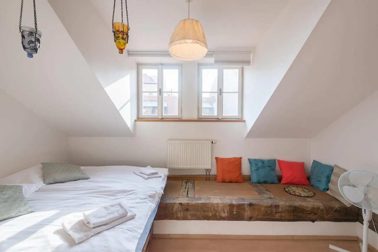 Spacious Apartments In The Heart Of Praag