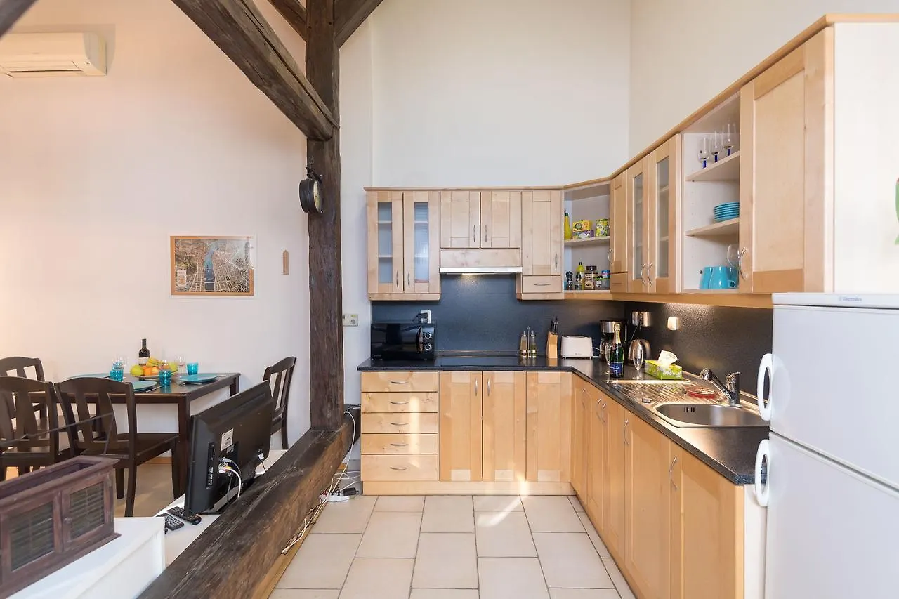Spacious Apartments In The Heart Of Praag