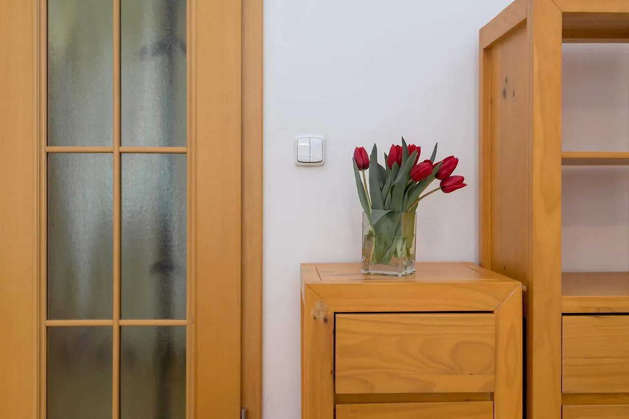 Spacious Apartments In The Heart Of Praag