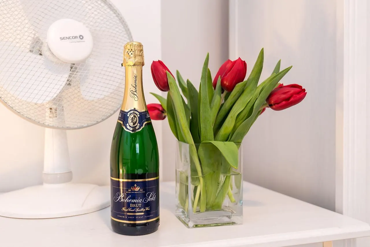 Spacious Apartments In The Heart Of Praag