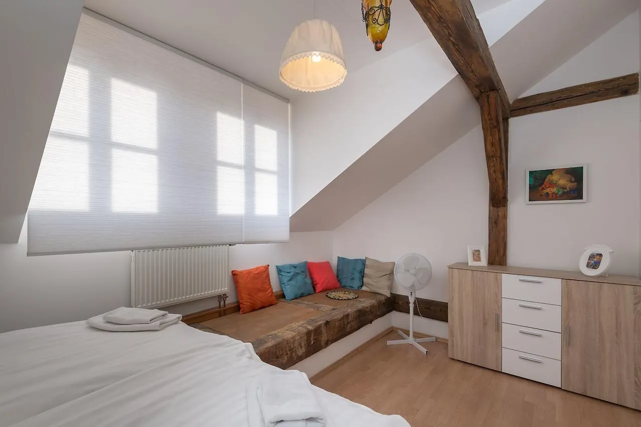 Spacious Apartments In The Heart Of Prague