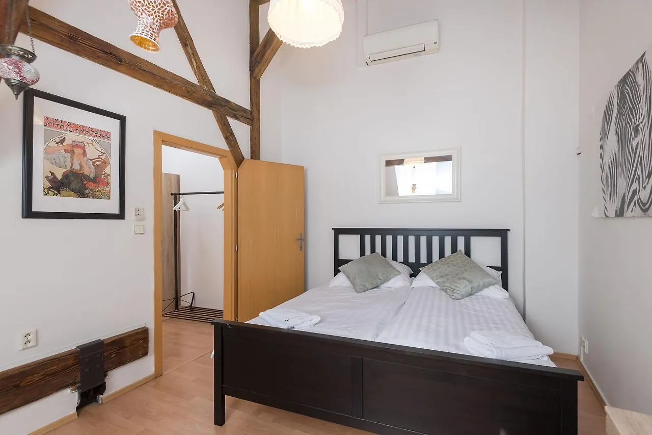 Spacious Apartments In The Heart Of 프라하