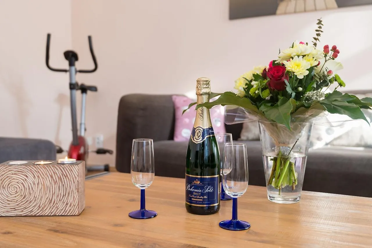 Spacious Apartments In The Heart Of Prague Czech Republic
