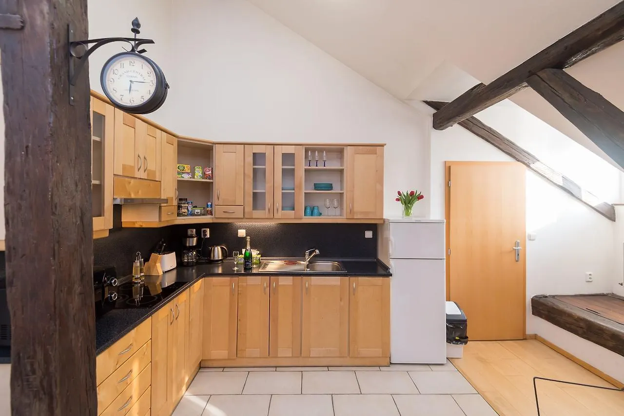 Spacious Apartments In The Heart Of Prague