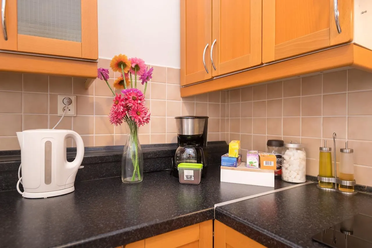 Spacious Apartments In The Heart Of 프라하 0*,