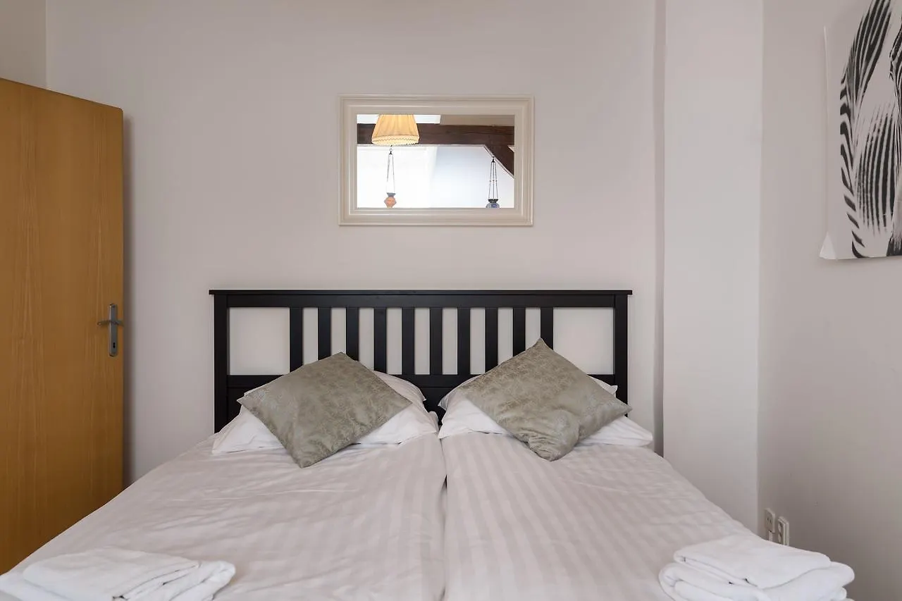 Spacious Apartments In The Heart Of Prague