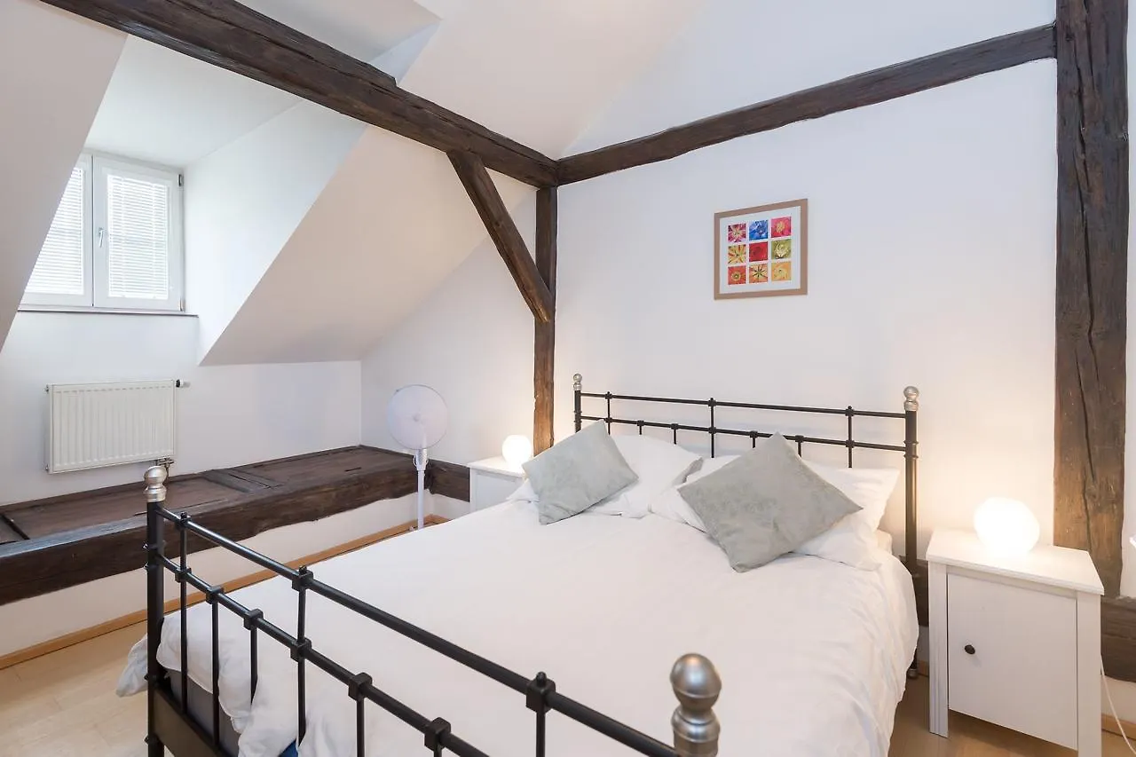 Spacious Apartments In The Heart Of Prague Czech Republic