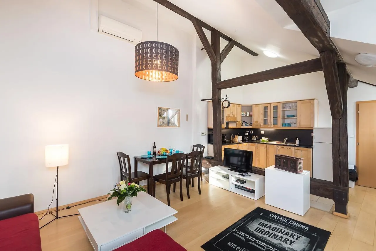 Spacious Apartments In The Heart Of Prague