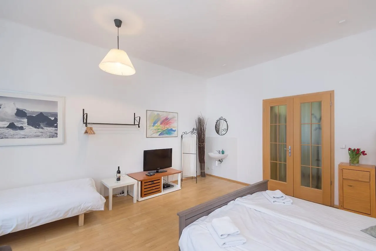 Spacious Apartments In The Heart Of 프라하