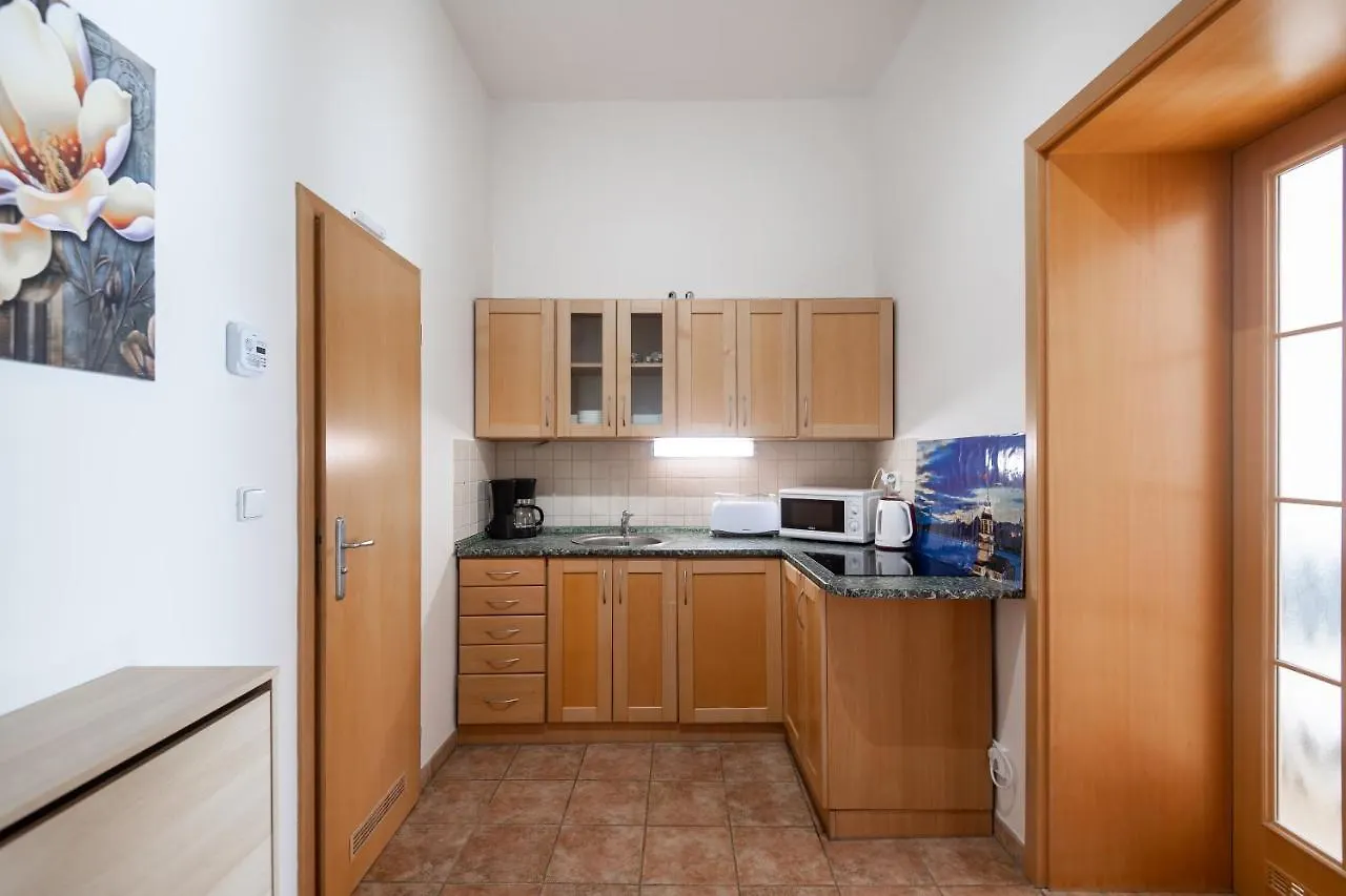 Spacious Apartments In The Heart Of 프라하